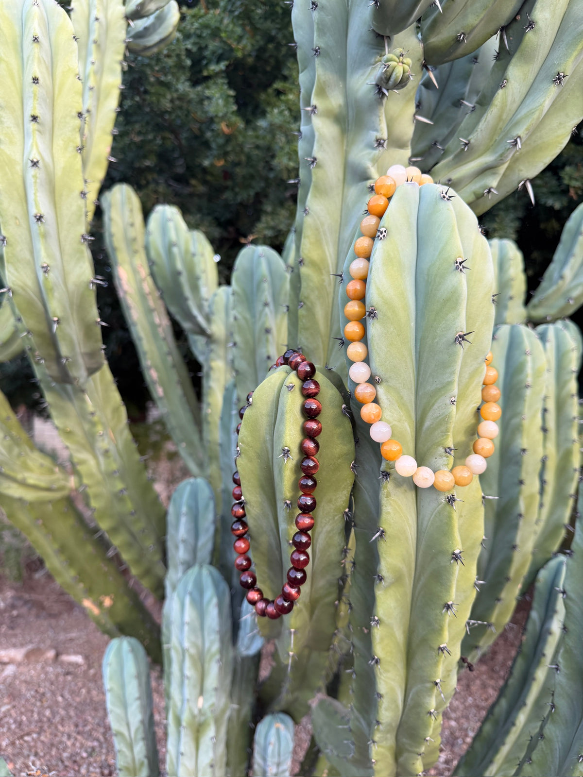 Honey Necklace