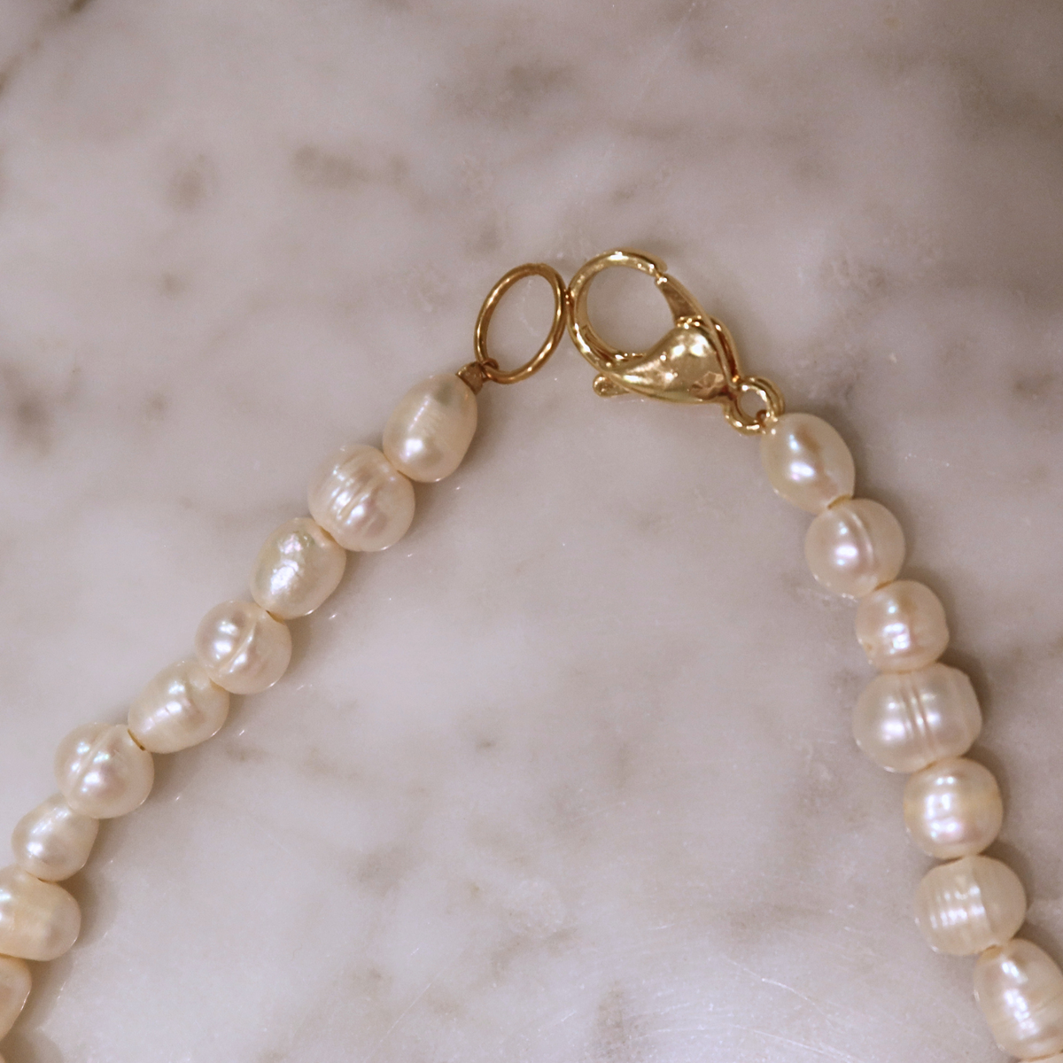 The Shell Strand #1