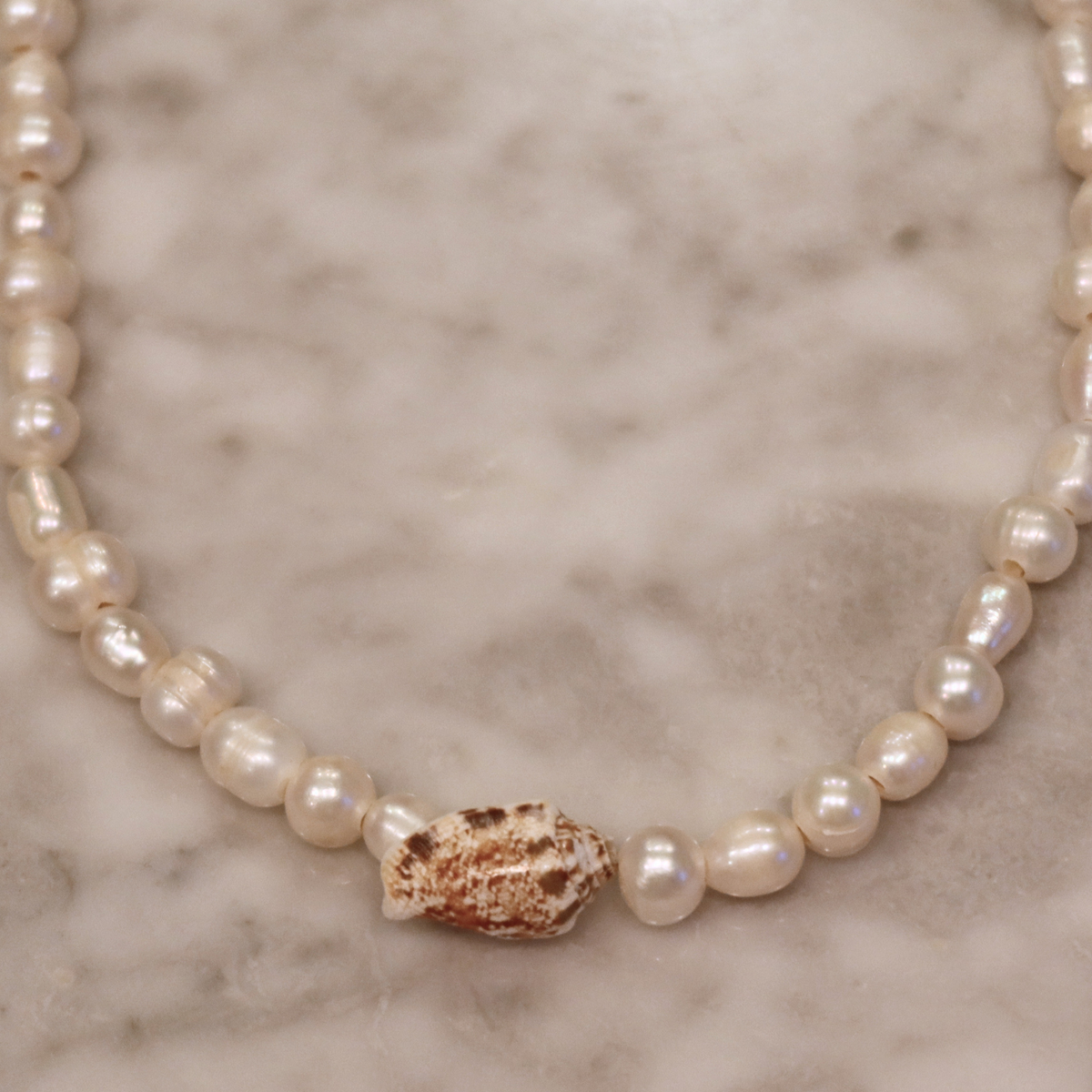 The Shell Strand #1